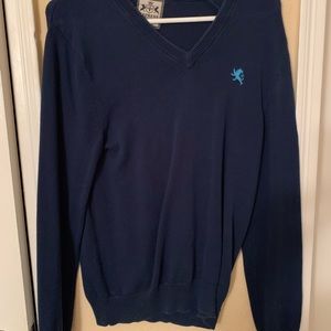 Express men’s sweater